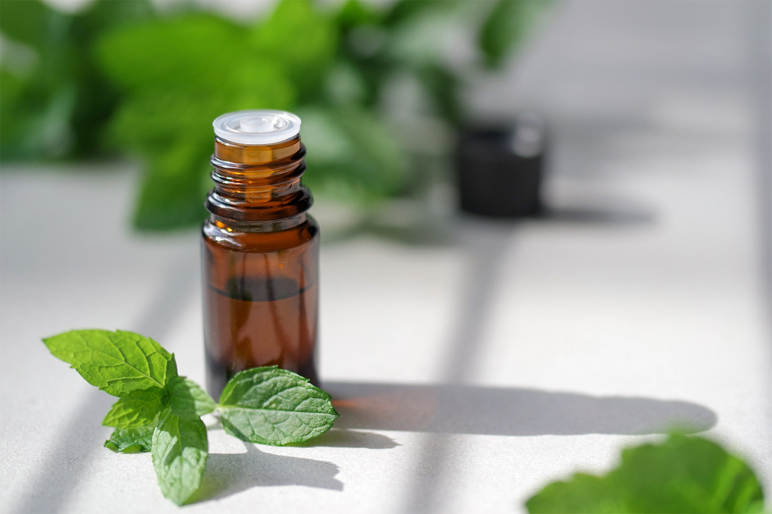 Peppermint Oil Benefits: What Does Peppermint Oil Help With? – Bubbly Belle